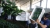 EU Farm Chiefs Meet On E. Coli Outbreak