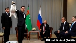 Președintele Gurbanguli Berdimuhamedov îi face cadou lui Vladimir Putin un pui de ciobănescu turcmen, Soci,, 11 octombrie 2017