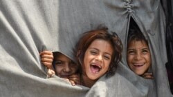 د ماشومانو نړیواله ورځ: پښتونخوا کې بېوزلۍ ګڼ ماشومان مزدورۍ ته اړ کړي