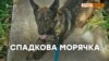 Військово-морський пес України – відео