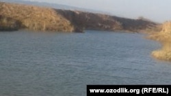 Surxondaryoning Qiziriq tumanidagi baliqxonaga qarashli ko‘l.