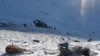 Acquittals In Russian Poaching Case