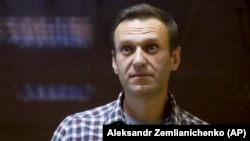 Imprisoned Russian opposition leader Aleksei Navalny (file photo)