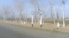 При въезде в село «Чим» в Камашинском районе Кашкадарьинской области.