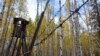 «Гулаг. Онлайн»: так жылі і вашыя рэпрэсаваныя продкі
