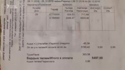Нарын: маянага тете жарык акысы
