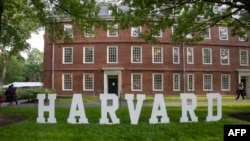Harvard Universiteti