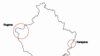 Mitrovicë