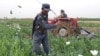 Iran Offers To Train Afghan Police In Drugs Fight