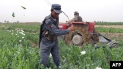 Iran is a major smuggling route for drugs, mainly opiates, produced in Afghanistan.