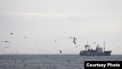 В Абхазии проходят съемки 16-серийного телефильма «Голубка» специально для канала «Россия»